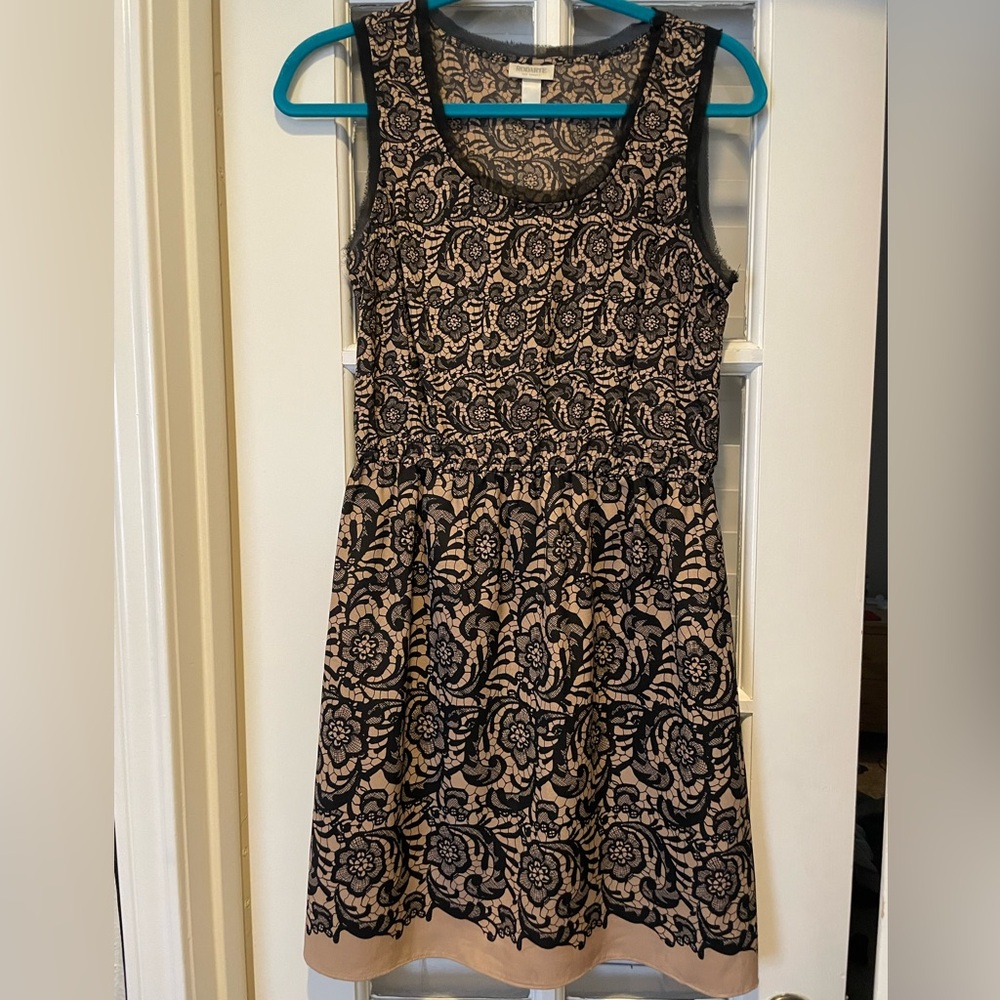 Rodarte for Target dress